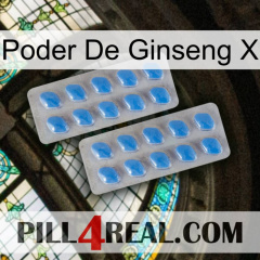 Ginseng Power X 23